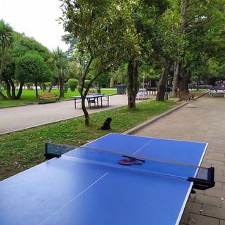 Telegram profile photo for Table tennis Batumi | Настольный теннис в Батуми