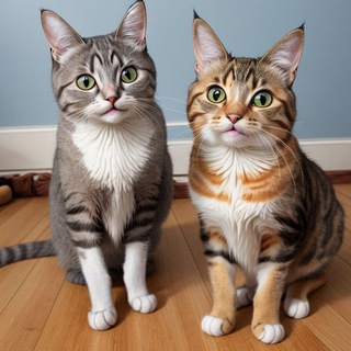 Telegram profile photo for Коты, котики, котята и котямбусы