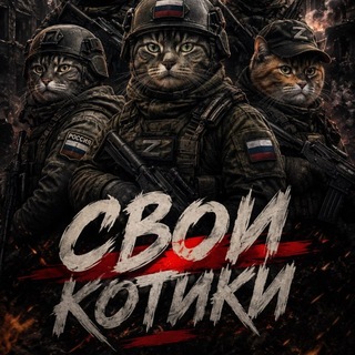 Telegram profile photo for 🇷🇺 СВОи котики 🇷🇺