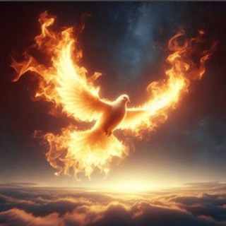 Telegram profile photo for Heaven's Trailblazer: Out of the Dark