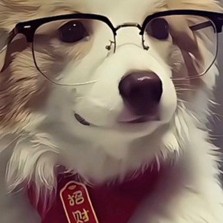 Telegram profile photo for TRX能量租赁+白资收U频道