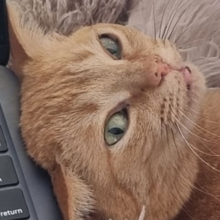 Telegram profile photo for Спасибо, что не из Тбилиси