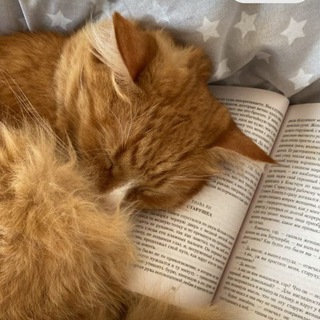 Telegram profile photo for Книги не горят
