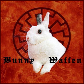 Telegram profile photo for BunnyGramLife π°π°π