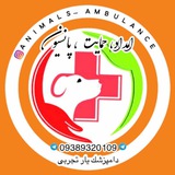 Telegram profile photo for امبولانس حیوانات ایران