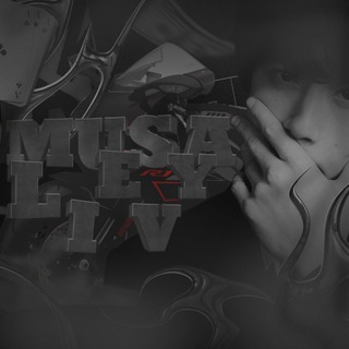 Telegram profile photo for MSV