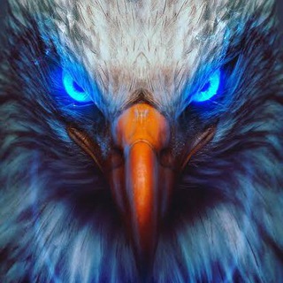 Telegram profile photo for Crypto sparow