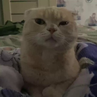 Telegram profile photo for физа пон7