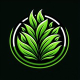 Telegram profile photo for SNZ