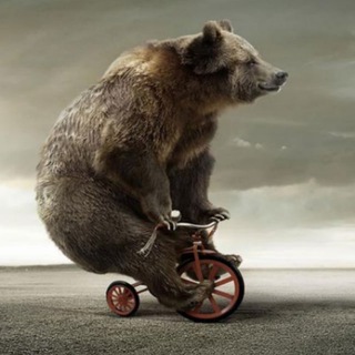 Telegram profile photo for BEARlogin