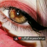 Telegram profile photo for 🕊 ترآتيـل خيـﮯآليـون 🕊