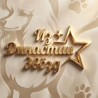 Telegram profile photo for Той Пудель / Мальтипу