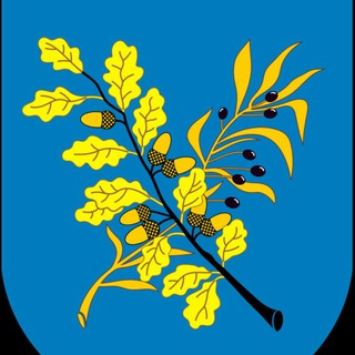 Telegram profile photo for 🇧🇾Дзержинск (info)