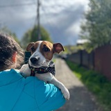 Telegram profile photo for 💙Фотограф Роки💙