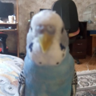 Telegram profile photo for мир игрока мойнкрофт