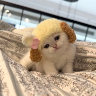 Telegram profile photo for 晓晓全能号商