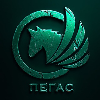 Telegram profile photo for 1 ОВМБр "ПЕГАС"