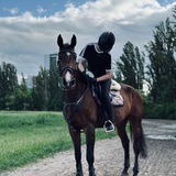 Telegram profile photo for 𝓻𝓲𝓭𝓮𝓻.𝓪𝓵𝓲𝓼