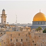 Telegram profile photo for אבו רנים
