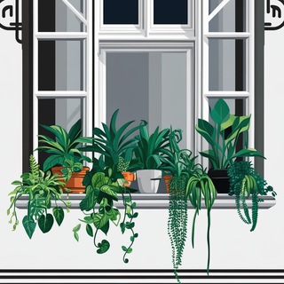 Telegram profile photo for Зелëные Окна🌱