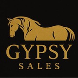 Telegram profile photo for GYPSY SALES