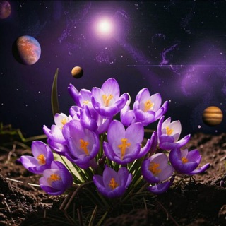 Telegram profile photo for Лана ГНМ