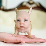 Telegram profile photo for Саня Лайф