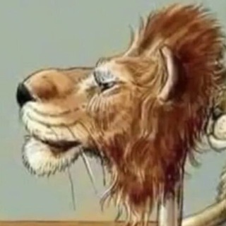 Telegram profile photo for подарки харда