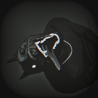 Telegram profile photo for 😉