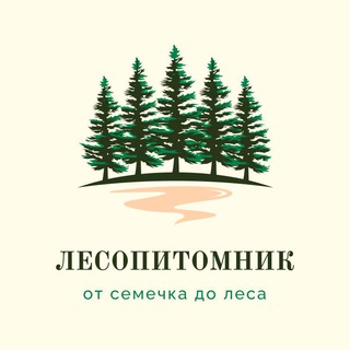 Telegram profile photo for ЛЕСО🌲ПИТОМНИК | канал