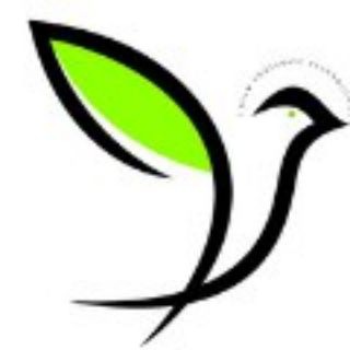 Telegram profile photo for Zinyaw Tech Channel 🔔