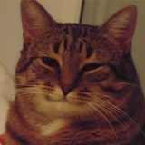 Telegram profile photo for Just kids