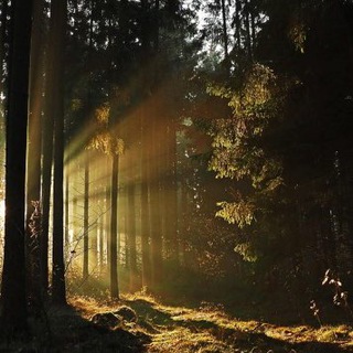 Telegram profile photo for NewsRundUmsGeschehen