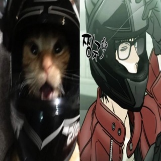 Telegram profile photo for 𝚳𝗈𝗈𝗇 𝅯♱𝆬 𝐃ꤤ𝖺𝗍𝗁