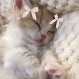 Telegram profile photo for люблюю