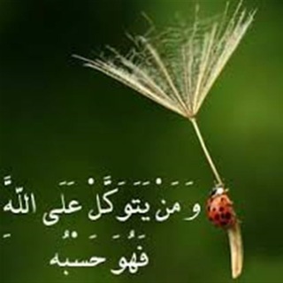 Telegram profile photo for کلام پروردگار