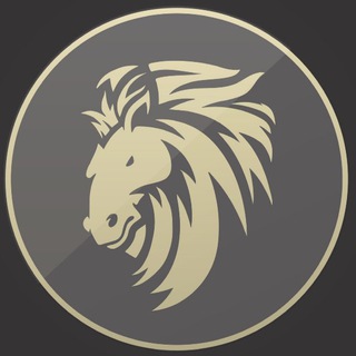 Telegram group profile photo for Steedtoken