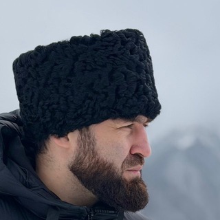 Telegram profile photo for Аловсет Мамиев