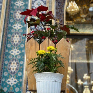 Telegram profile photo for لـَ فَاطمٌ.