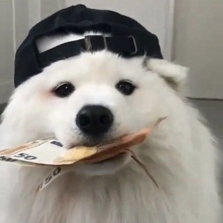 Telegram group profile photo for вз чат от эвни