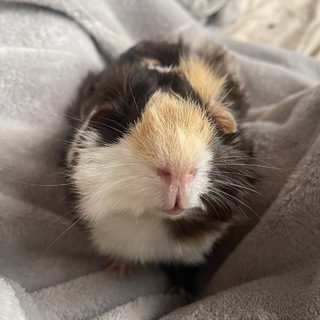 Telegram profile photo for debbie