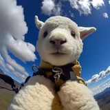 Telegram profile photo for MIA - CTO