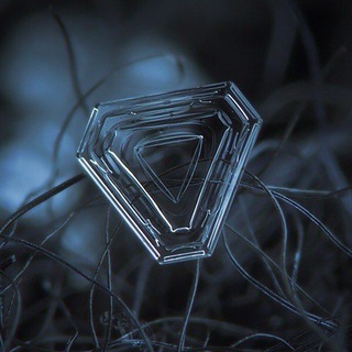 Telegram profile photo for Top News | КАРАБАХ