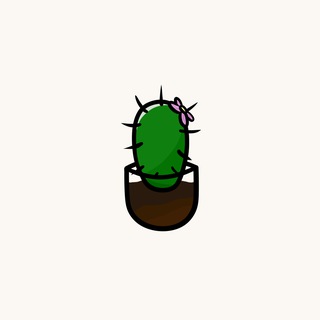 Telegram profile photo for salt cactus