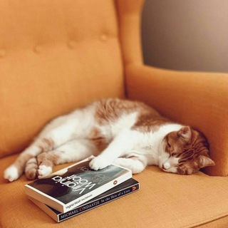 Telegram profile photo for lı ڪـتـــ📖ـــاب بــاز ıl