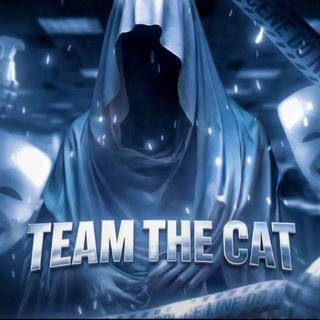 Telegram profile photo for TIM THE CAT