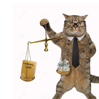 Telegram profile photo for А судьи кот