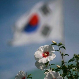 Telegram profile photo for Korean jana