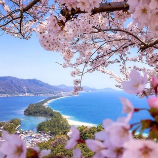 Telegram profile photo for کلیپ های زیبای طبیعت