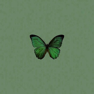 Telegram profile photo for سَڪِينهٌ